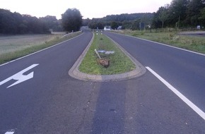 Polizeidirektion Wittlich: POL-PDWIL: Verkehrsunfallflucht auf der B 421, Höhe Industriegebiet Mehren