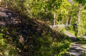 Feuerwehr Iserlohn: FW-MK: Fl&auml;chenbrand am "L&uuml;nkerhohl"