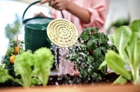 Industrieverband Agrar e.V. (IVA): Gem&uuml;segarten im Sommer: Ernte trotz Hitze und Trockenheit sichern