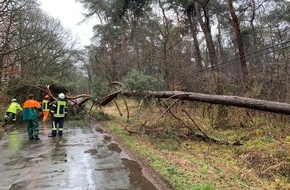 Feuerwehr Schermbeck: FW-Schermbeck: Baum auf Fahrbahn