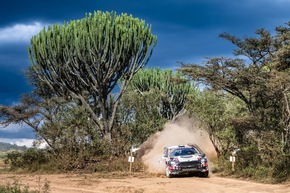 Safari-Rally Kenia: Škoda Crews holen beim härtesten WM-Lauf des Jahres Sieg und Platz drei