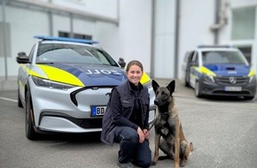 Hauptzollamt Landshut: HZA-LA: Sch&auml;ferhund "Bo" verst&auml;rkt den Landshuter Zoll/ Dienstantritt nach fast zweij&auml;hriger Ausbildung