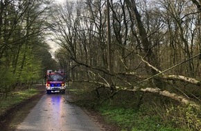 Feuerwehr Schermbeck: FW-Schermbeck: Baum auf Stromleitung