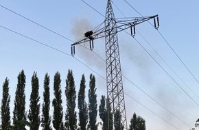 Feuerwehr Offenburg: FW-OG: Leeres Storchennest brennt auf Hochspannungsmast