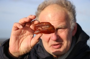 Tourismus-Zentrale St. Peter-Ording: Das Gold der Nordsee-Küste