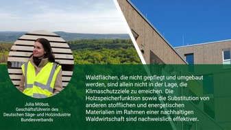 Deutsche Säge- und Holzindustrie Bundesverband e. V. (DeSH): Verfehlte Klimaschutzziele: DeSH mahnt Beitrag von Holz an