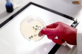 ISOTEC GmbH: Zwischen Panikmache und Gefahr: Schimmel im Wohnraum /
Gesundheitsrisiken und die Beseitigung auf einen Blick