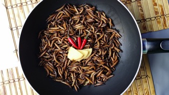 The Fork: Insekten-Gerichte im Restaurant: Exotischer Genuss oder kulinarischer Alptraum?