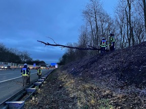 FW-BO: Sturmböen bis 90 km/h - Feuerwehr Bochum im Dauereinsatz