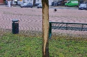 Polizeiinspektion Nienburg / Schaumburg: POL-NI: Eystrup - Unbekannte beschädigen mehrere Bäume - Zeugenaufruf