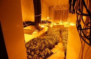 Kreispolizeibehörde Rhein-Kreis Neuss: POL-NE: Mehr als 1000 Cannabispflanzen in Halle sichergestellt