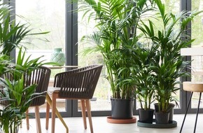 Blumenbüro: Das grüne Office / Positive Effekte von Pflanzen am Arbeitsplatz