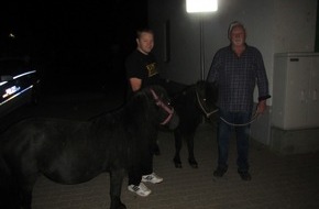 Polizeidirektion Worms: POL-PDWO: Ponys erkunden Westhofen