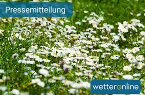 WetterOnline Meteorologische Dienstleistungen GmbH: Trotz Frost kaum Reif und Eis - Sibirische Luft und Sonnenstand Verursacher