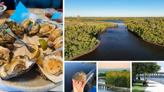 Global Communication Experts: Austern: Ein wesentlicher Bestandteil der Naturlandschaft der Bradenton Gulf Islands