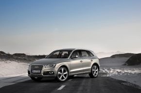 Audi AG: AUDI AG: Vorjahresabsatz nach elf Monaten übertroffen (BILD)