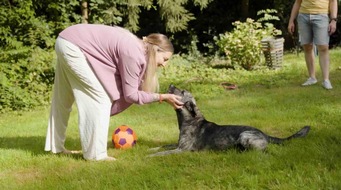 Mhoch4 GmbH & Co. KG: Mit oder ohne Fleisch: Mythen über Hundeernährung