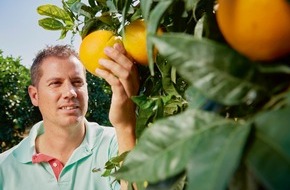 EDEKA ZENTRALE Stiftung & Co. KG: EDEKA und WWF: Zitrusprojekt trägt Früchte