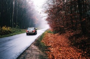 CODUKA GmbH: So fahren Sie sicher durch den Herbst / Tipps für das Autofahren bei Nebel, Dunkelheit und Regen
