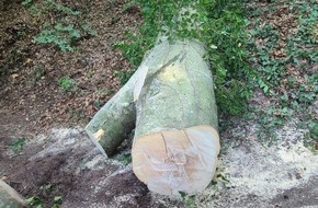 Feuerwehr Allensbach: FW Allensbach: H0 - Erkundung