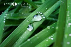3rd-eyes analytics AG: 3rd-eyes analytics, Softwarespezialist für nachhaltige Vermögensplanung, erhält Förderung vom Schweizer Bundesamt für Umwelt
