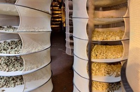 Landespolizeiinspektion Nordhausen: LPI-NDH: Schlag gegen die Drogenkriminalit&auml;t im Eichsfeld