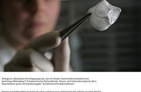 Schweizerischer Nationalfonds / Fonds national suisse: SNF: Bild des Monats Februar 2007: Grundlagenforschung für die Behandlung angeborener Herzfehler