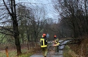 Freiwillige Feuerwehr Breckerfeld: FW-EN: Sturmeinsatz - Baum auf Straße