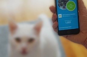 feed a cat: Tierschutz per App: feed a cat liefert erste Futterspenden nach Halle