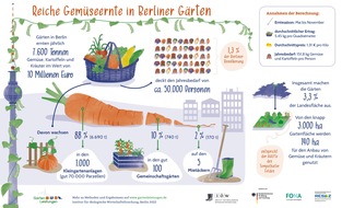 Institut für ökologische Wirtschaftsforschung: Studie zeigt: So wertvoll sind Berliner Gärten für die Kieze