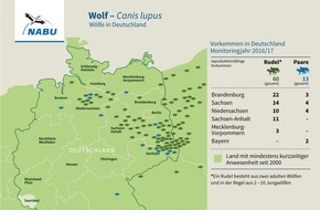 NABU: NABU fordert nationales Herdenschutzzentrum / Scheindebatte zur Bejagung des Wolfes überlagert konstruktive Diskussion zum Herdenschutz