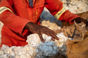 Italienischer Modekonzern OVS wird Partner von Cotton made in Africa