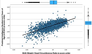 BrainRepair UG: Birth weight and head circumference predict IQ and motor performance at 4 years of age