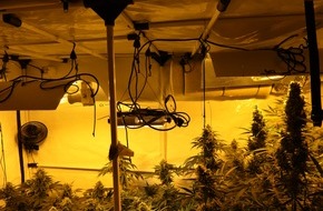 Polizeipräsidium Nordhessen - Kassel: POL-KS: Bei Einsatz wegen häuslicher Gewalt: Cannabisgeruch führt zum Fund von Plantage im Schlafzimmer