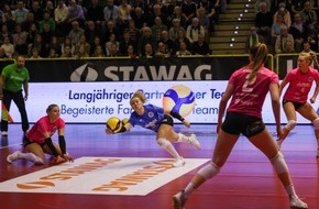 VC Wiesbaden Spielbetriebs GmbH: Playoffs und Europa: Der VCW ist dabei!