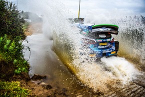 Junge Fahrer von M-Sport Ford wagen sich bei Safari-Rallye Kenia im Fiesta WRC auf unbekanntes Terrain