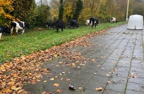 Polizeiinspektion Cuxhaven: POL-CUX: Lichtbild zur Pressemeldung von 12:35 Uhr