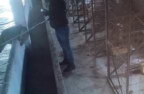 VETO Tierschutz: Undercover Material zeigt schwere Tiermisshandlung in rum&auml;nischer T&ouml;tungsstation: VETO-Tierschutz verurteilt Umgang mit Stra&szlig;enhunden scharf und fordert politisches Umdenken