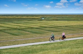 Tourismus Marketing Service Büsum GmbH: Weltfahrradtag am 3. Juni 2024 - Besondere Angebote für Fahrrad-Fans in Büsum