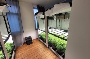 Polizei Mettmann: POL-ME: Korrekturmeldung zu: "Ausgelöster Rauchmelder führte zu einer Cannabis-Plantage - Mehr als zehn Kilogramm Drogen sichergestellt" - Ratingen - 2310064