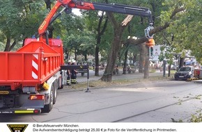 Feuerwehr München: FW-M: Baum liegt auf Stromleitung (Haidhausen)