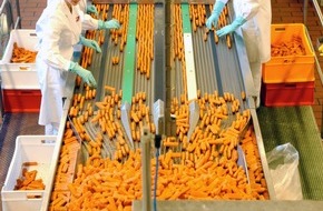 iglo Deutschland: Fischstäbchen - Besser als ihr Ruf / NDR-Sendung "Plietsch" liefert Fakten (FOTO)