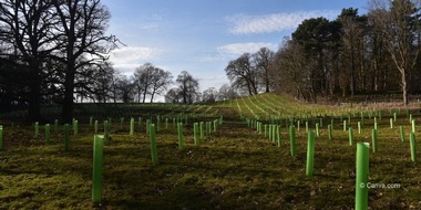 Forum Moderne Landwirtschaft e.V.: Regenerative Landwirtschaft: Offenheit ja, aber noch viel Unklarheit