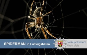 Polizeipräsidium Rheinpfalz: POL-PPRP: Spiderman kennt keine Höhenangst