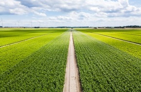 EEF | Erneuerbare Energien Fabrik GmbH: EEF und Solana treiben gemeinsam Windprojekte in Mecklenburg-Vorpommern voran