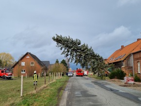 FW Lüchow-Dannenberg: Sturm Ylenia zieht vorüber++zahlreiche Bäume knicken ab/stürzen um++Wohnhäuser z.T. stark beschädigt++gesperrte und blockierte Straßen im ganzen Landkreis++zwei Verkehrsunfälle am frühen Morgen