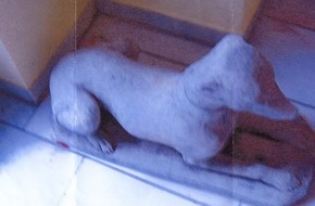 Polizeiinspektion Hildesheim: POL-HI: Wo sind die Hunde hin?