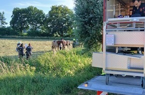 Feuerwehr Gemeinde Rheurdt: FW Rheurdt: Pferd "Donoven" st&uuml;rzt in Graben - und rettet sich im Beisein der Feuerwehr selbst