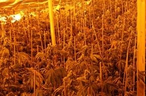 Polizei Minden-Lübbecke: POL-MI: Polizei hebt größere Drogenplantage aus