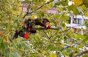 Baumpflege Kasper GmbH: Fr&uuml;hling ist Gartenzeit: Arbeiten an B&auml;umen setzen Fachwissen voraus